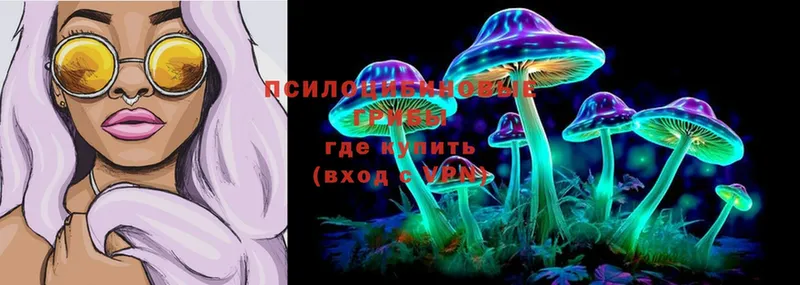 Псилоцибиновые грибы Psilocybine cubensis Светлоград